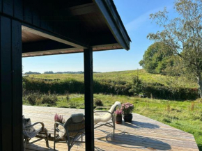 Summer House Overlooking Fields And The Woods, Fårevejle Kirkeby